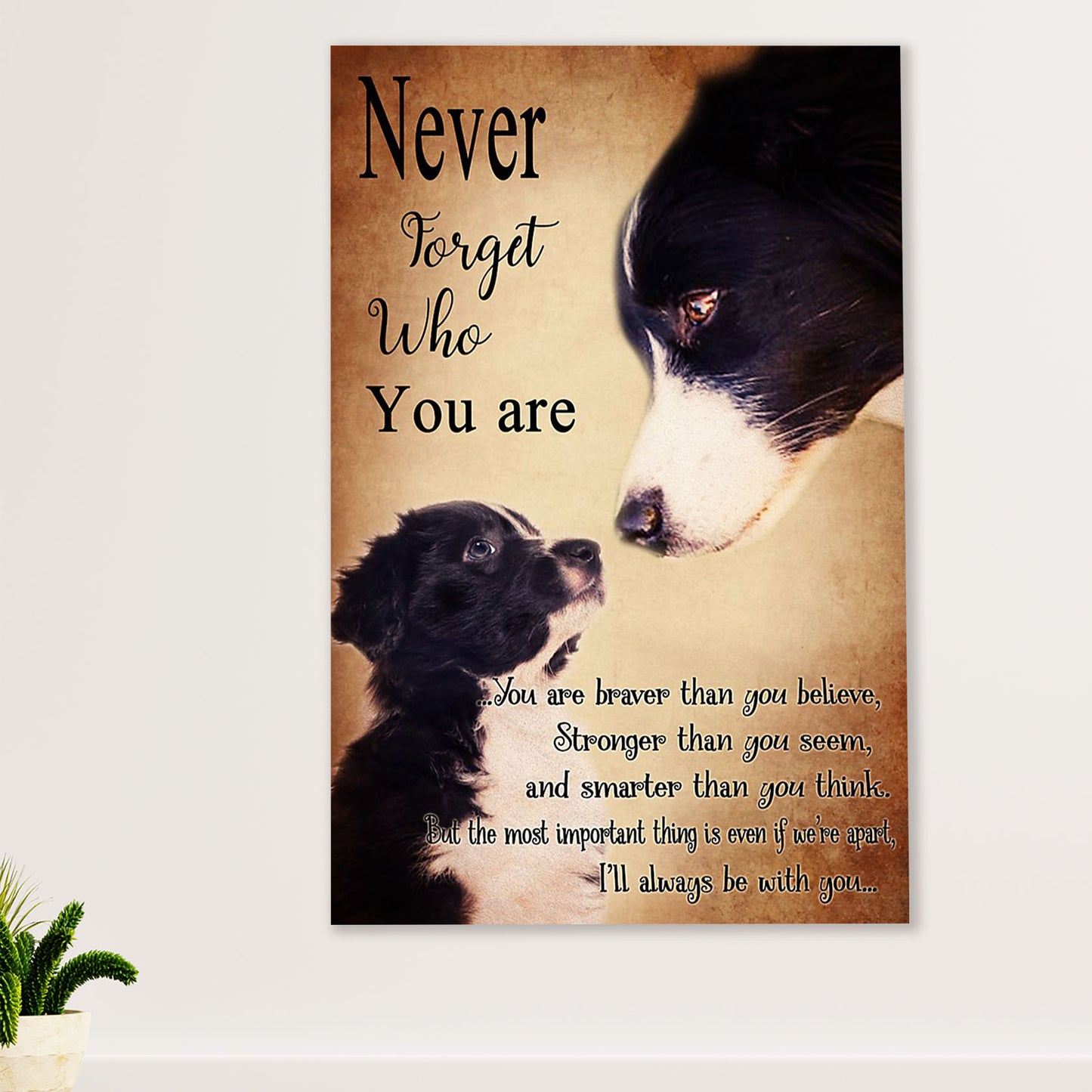 Cute Border Collie Dog Canvas Wall Art Prints | Never Forget Who You Are | Gift for Merle Collie Lover