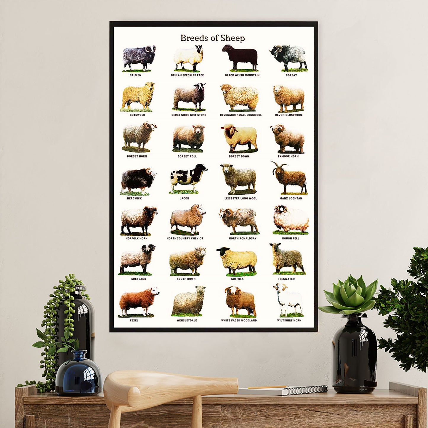 Farming Poster Prints | Breeds of Sheep | Wall Art Gift for Farmer