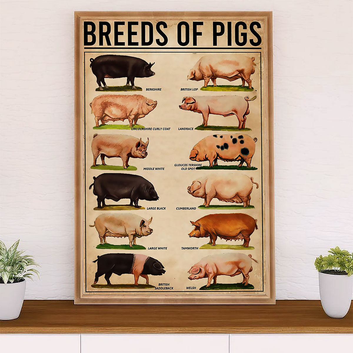 Farming Poster Prints | Breeds of Pigs | Wall Art Gift for Farmer