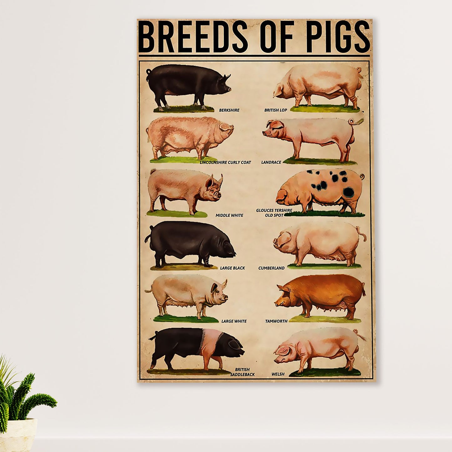 Farming Poster Prints | Breeds of Pigs | Wall Art Gift for Farmer