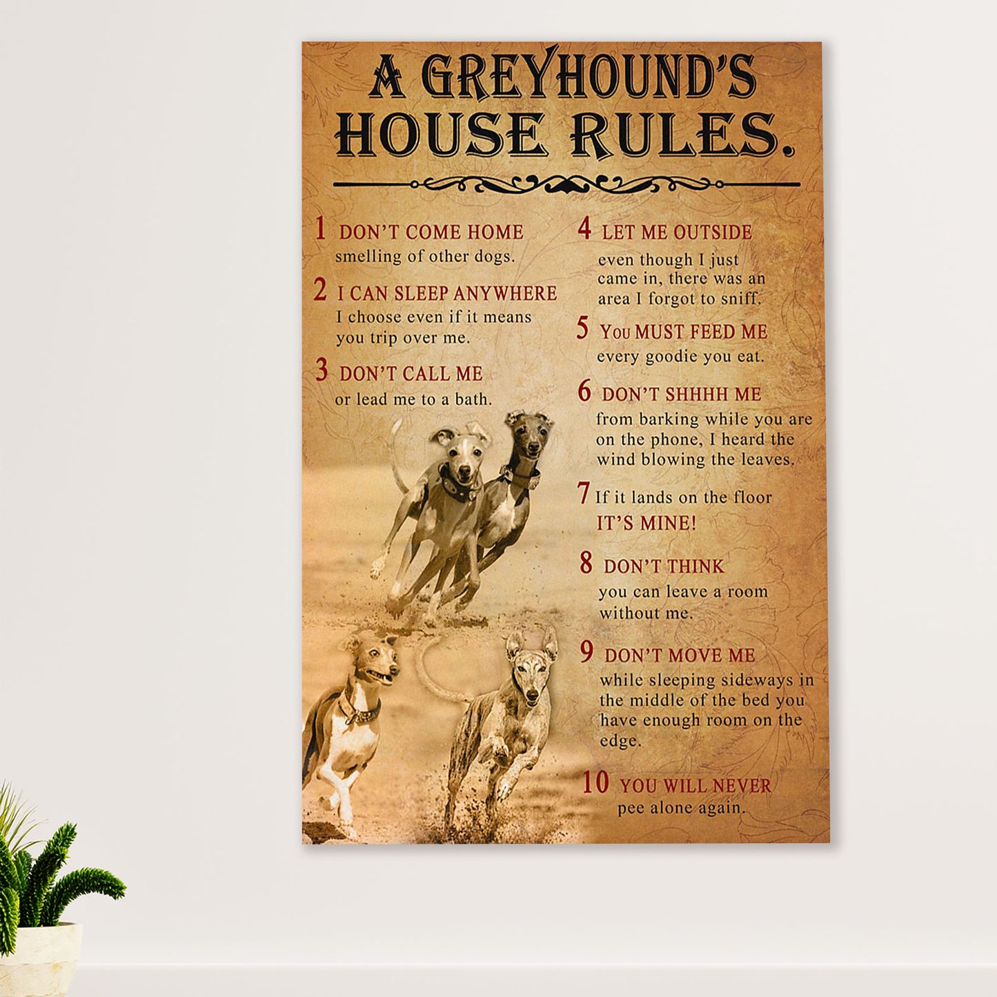 Greyhound Dog Canvas Prints | Greyhound's House Rules | Wall Art Gift for Greyhound Puppies Lover