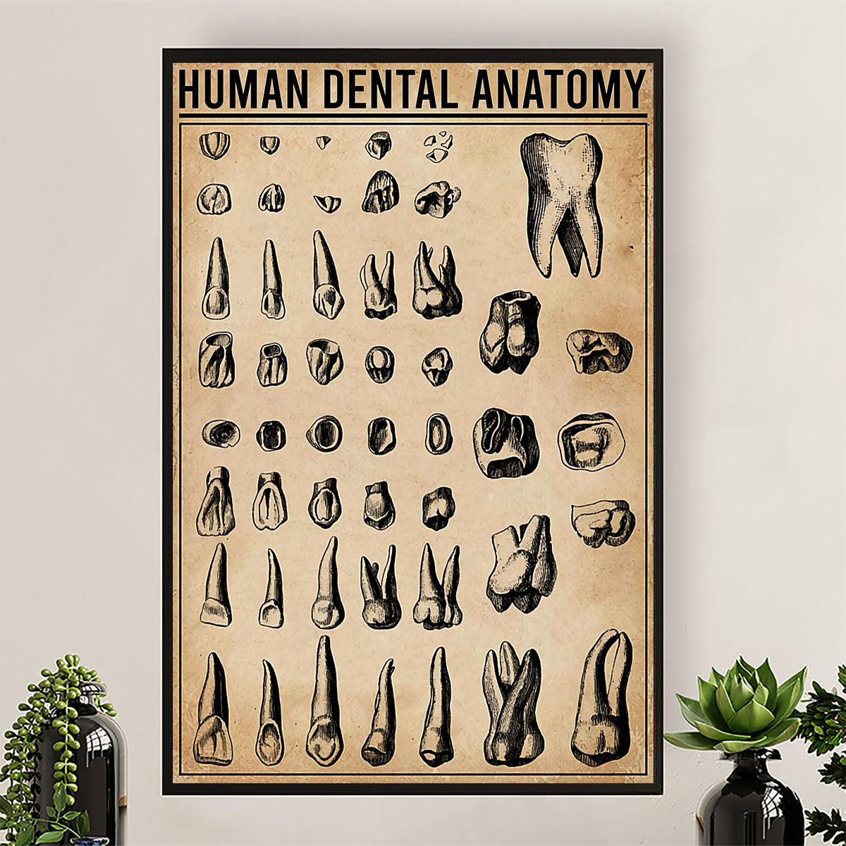 Dental Poster Human Dental Anatomy | Wall Art Gift for Dentist