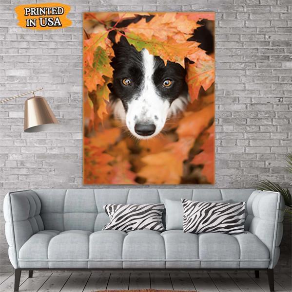 Border Collie Dog Canvas Prints Matte Canvas - Home Room Wall Decor Matte Canvas - Mostsuit