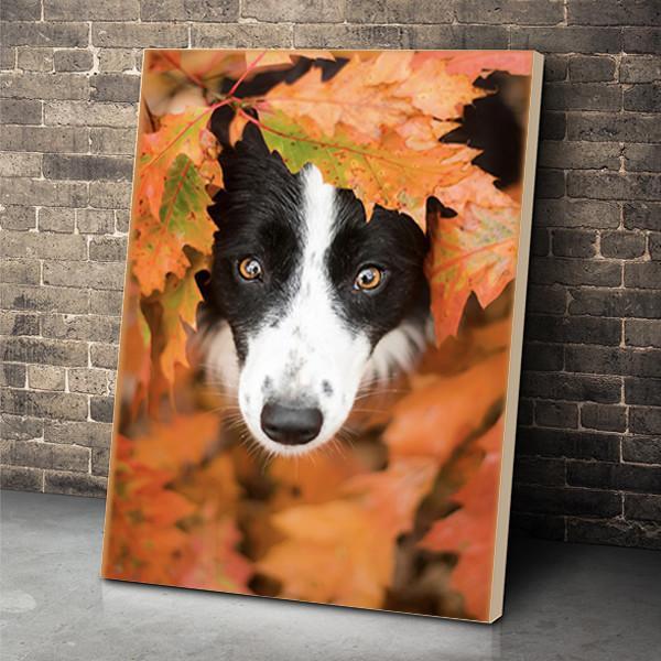Border Collie Dog Canvas Prints Matte Canvas - Home Room Wall Decor Matte Canvas - Mostsuit