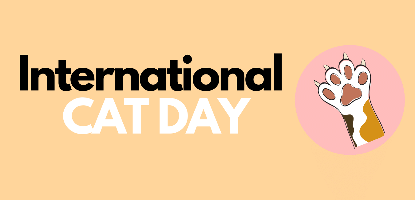 International Cat Day Gift - Wall Art Gift