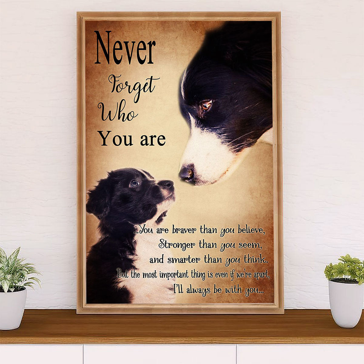 Cute Border Collie Dog Canvas Wall Art Prints | Never Forget Who You Are |  Gift for Merle Collie Lover