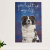 Cute Border Collie Dog Canvas Wall Art Prints | Light Up My Life |  Gift for Merle Collie Lover