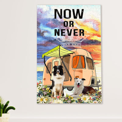 Cute Border Collie Dog Poster Prints | Camping Now Or Never | Wall Art Gift for Puppies Merle Collie Lover