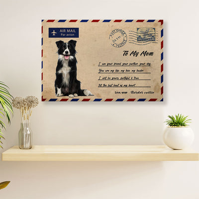 Cute Border Collie Canvas Wall Art Prints | Air Mail From Collie to Mom | Gift for Puppies Merle Collie Lover