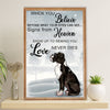 Funny Cute Boxer Canvas Wall Art Prints | Winter Dog | Gift for Brindle Boxador Dog Lover