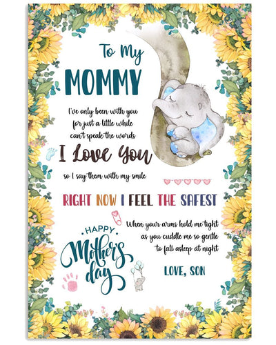To My Mommy I Love You Canvas And Poster, Quarantine Mother’s Day Gift, Mother’s Day Gift From Son To Mom, Warm Home Decor Wall Art Visual Art