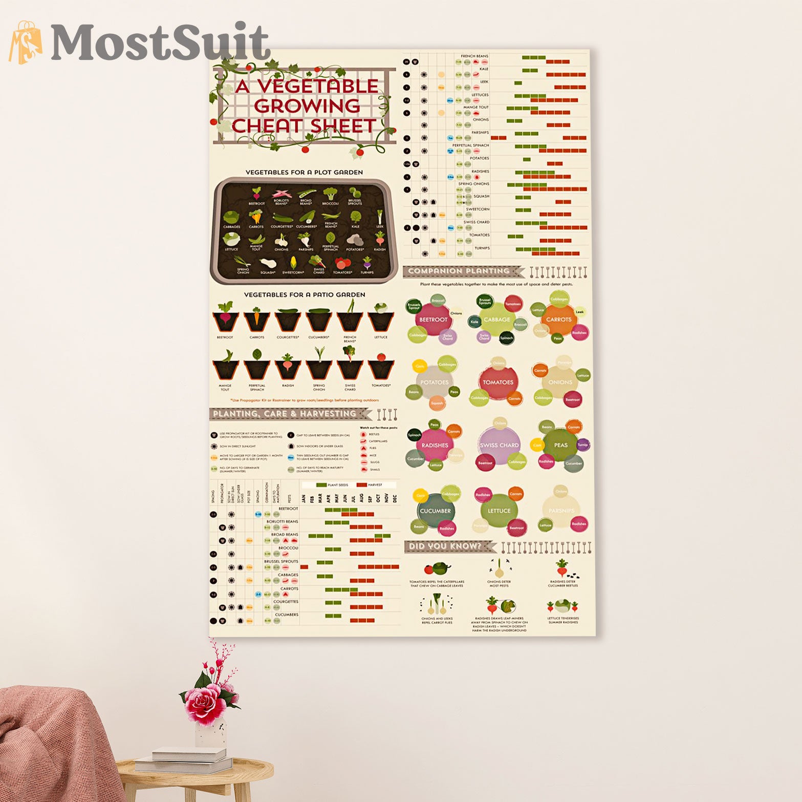 Gardening Poster Home Décor Wall Art | Vegetable Growing Cheat Sheet | Gift for Gardener, Plants Lover