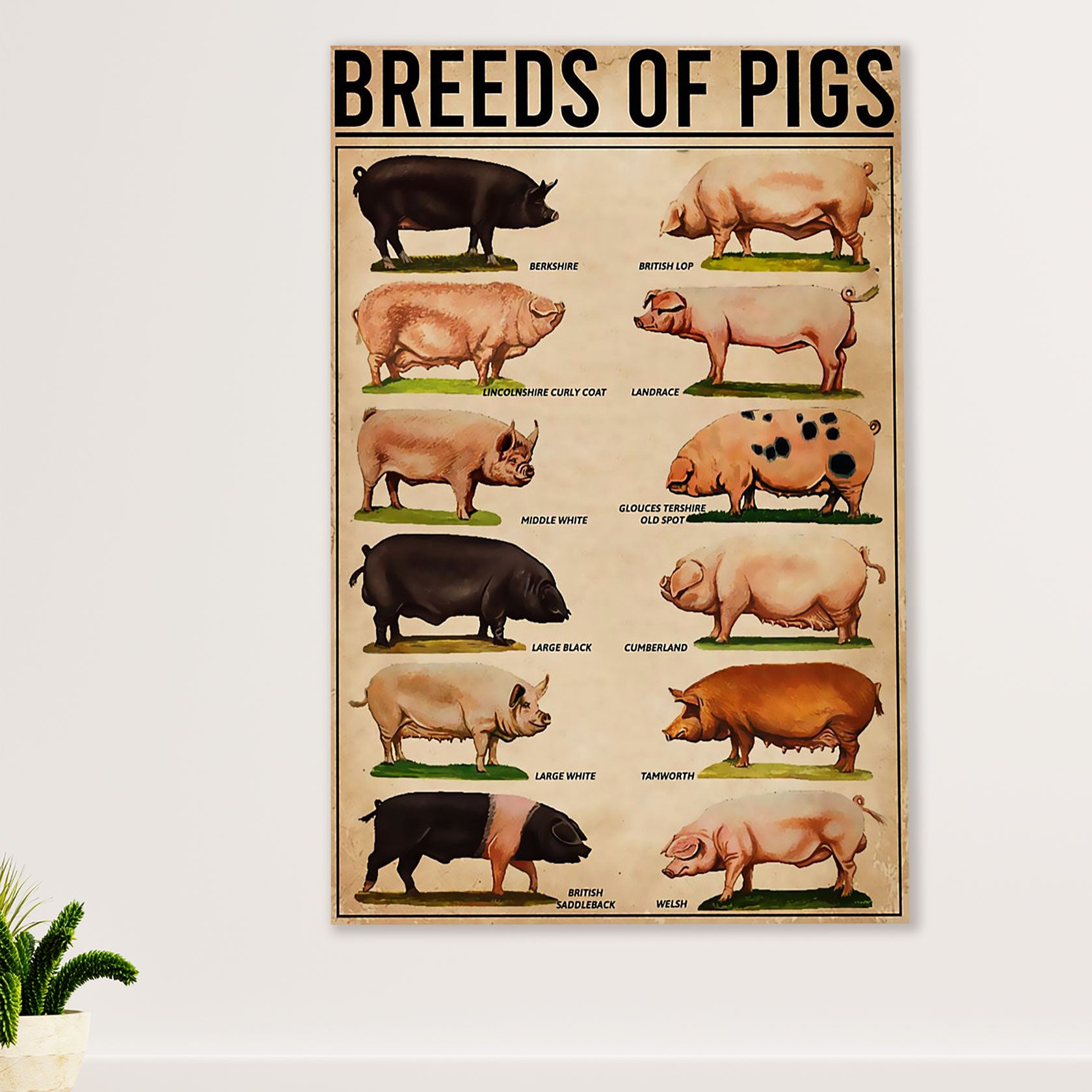 Farming Poster Prints | Breeds of Pigs | Wall Art Gift for Farmer