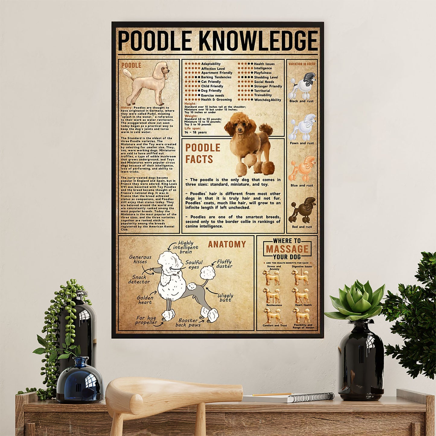 Poodle Knowledge Dog Canvas Wall Art Prints | Home Décor Gift for Poodle Puppies Lover
