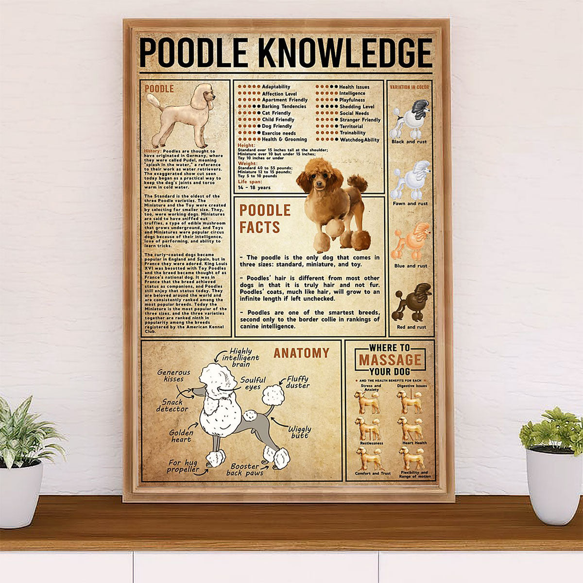 Poodle Knowledge Dog Canvas Wall Art Prints | Home Décor Gift for Poodle Puppies Lover