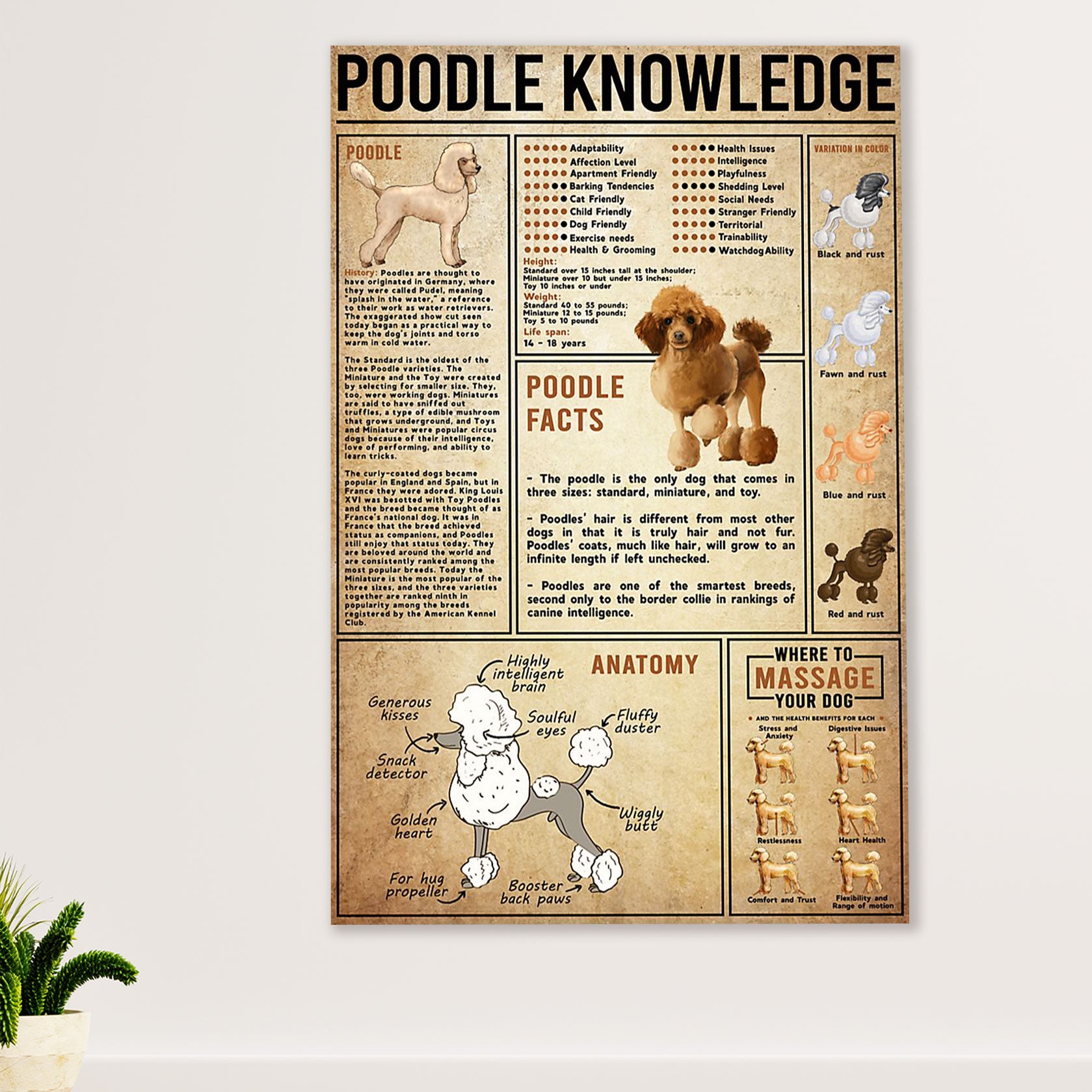 Poodle Knowledge Dog Canvas Wall Art Prints | Home Décor Gift for Poodle Puppies Lover