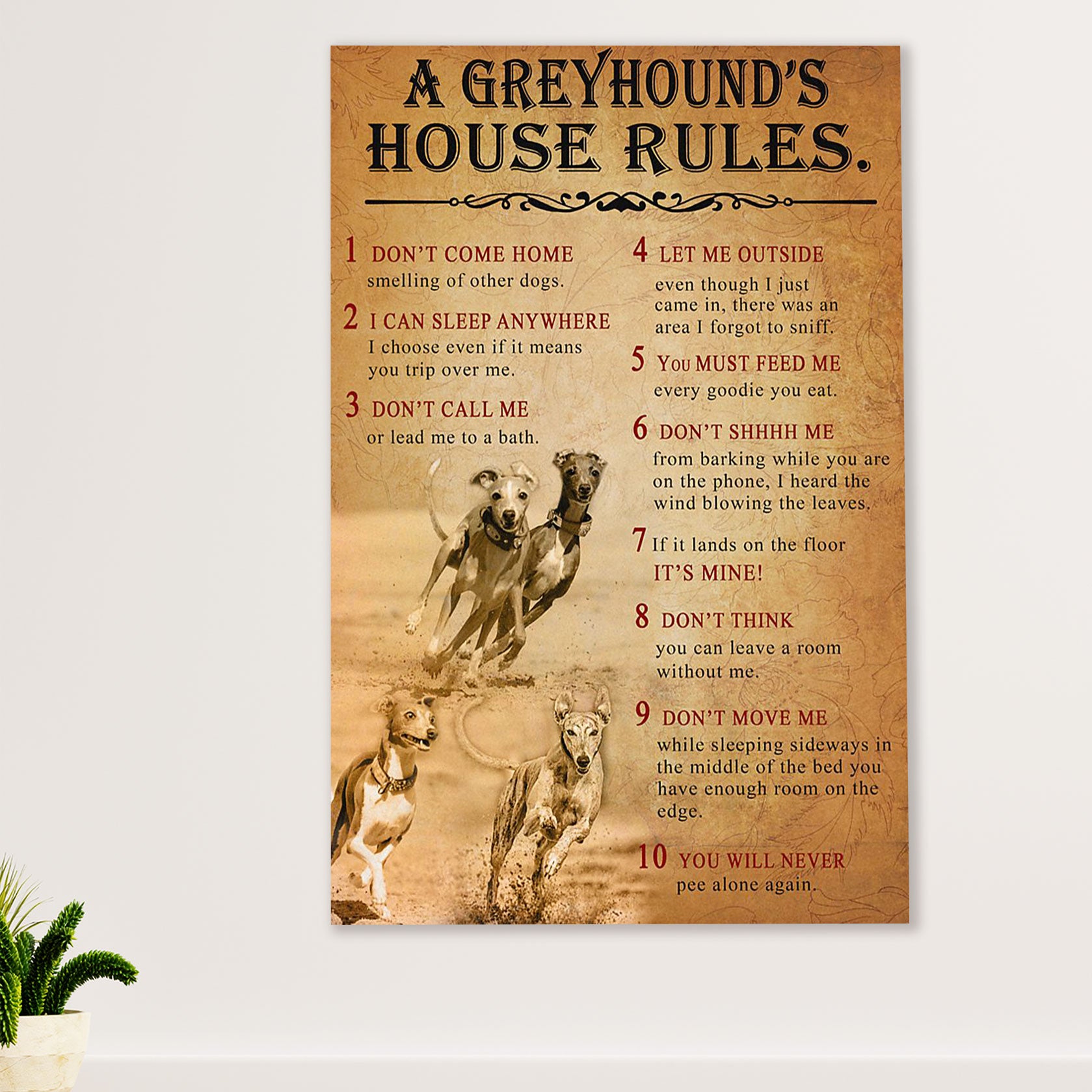 Greyhound Dog Canvas Prints | Greyhound's House Rules | Wall Art Gift for Greyhound Puppies Lover