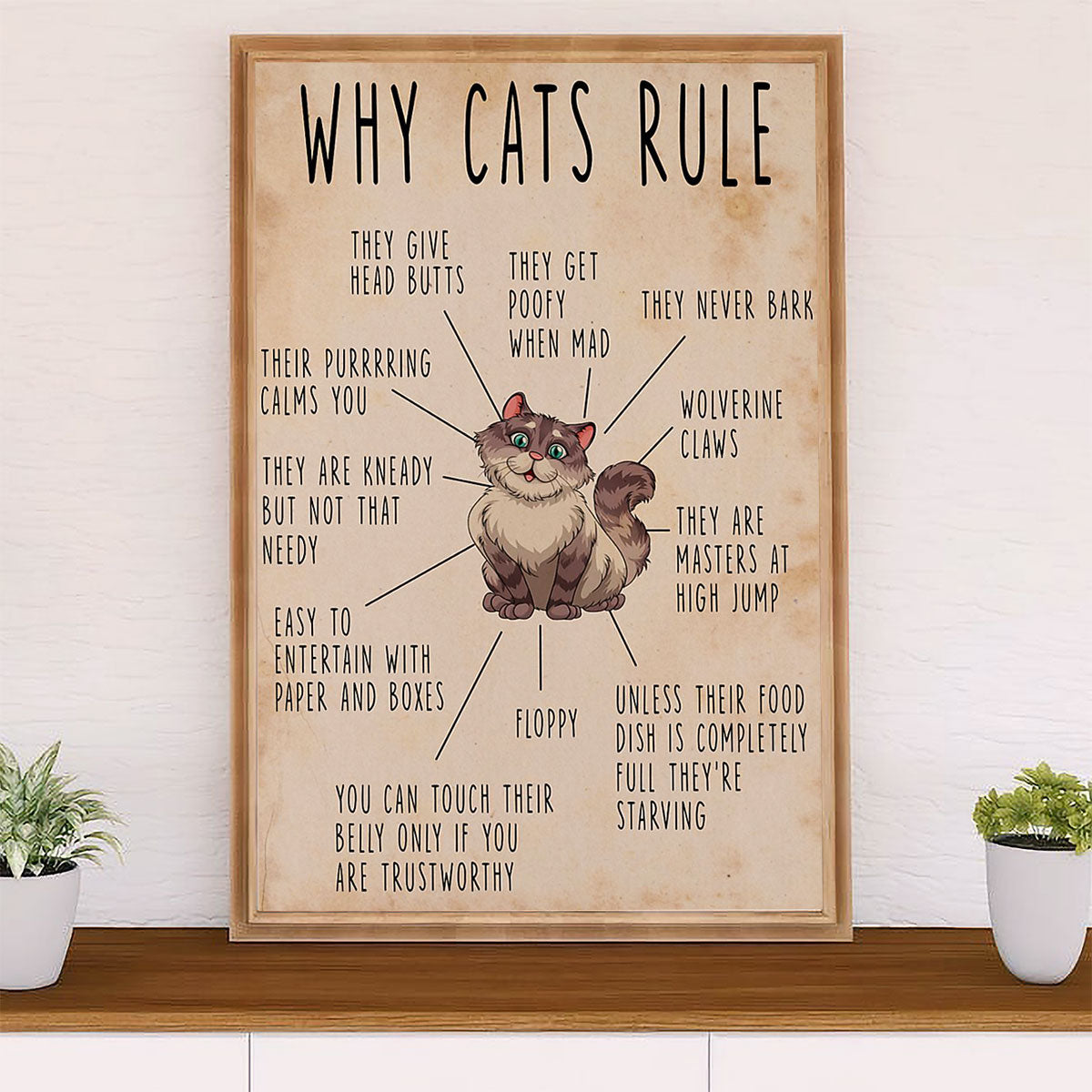 Cute Cat Canvas Prints | Why Cats Rule | Wall Art Gift for Cat Kitties Lover