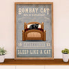 Funny Cute Cat Poster Wall Art Prints | Bombay Cat in Bed | Home Decor Gift for Cat Lover