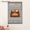 Funny Cute Cat Poster Wall Art Prints | Somali Cat in Bed | Home Decor Gift for Cat Lover
