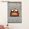 Funny Cute Cat Poster Wall Art Prints | Cornish Rex in Bed | Home Decor Gift for Cat Lover