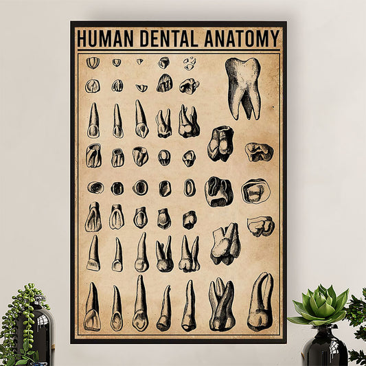 Dental Poster Human Dental Anatomy | Wall Art Gift for Dentist