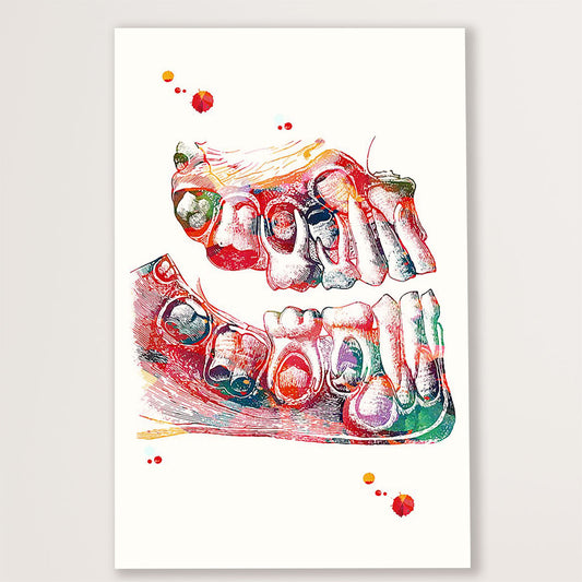 Dental Canvas Teeth Art Painting | Wall Art Gift for Dentist
