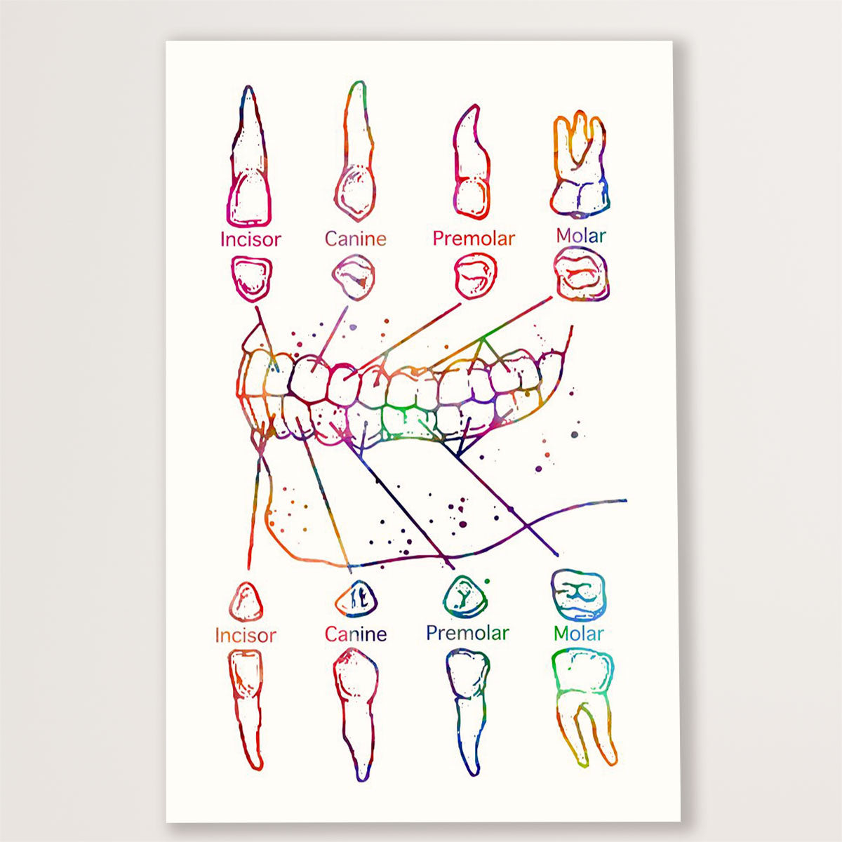 Dental Poster Teeth Art Painting | Wall Art Gift for Dentist