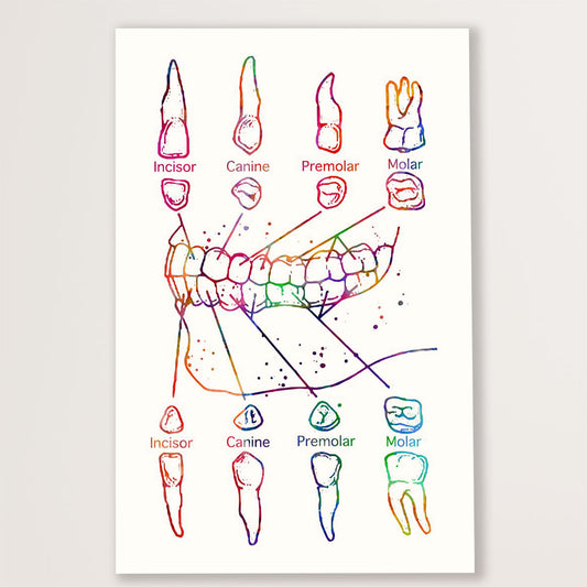 Dental Canvas Teeth Art Painting | Wall Art Gift for Dentist