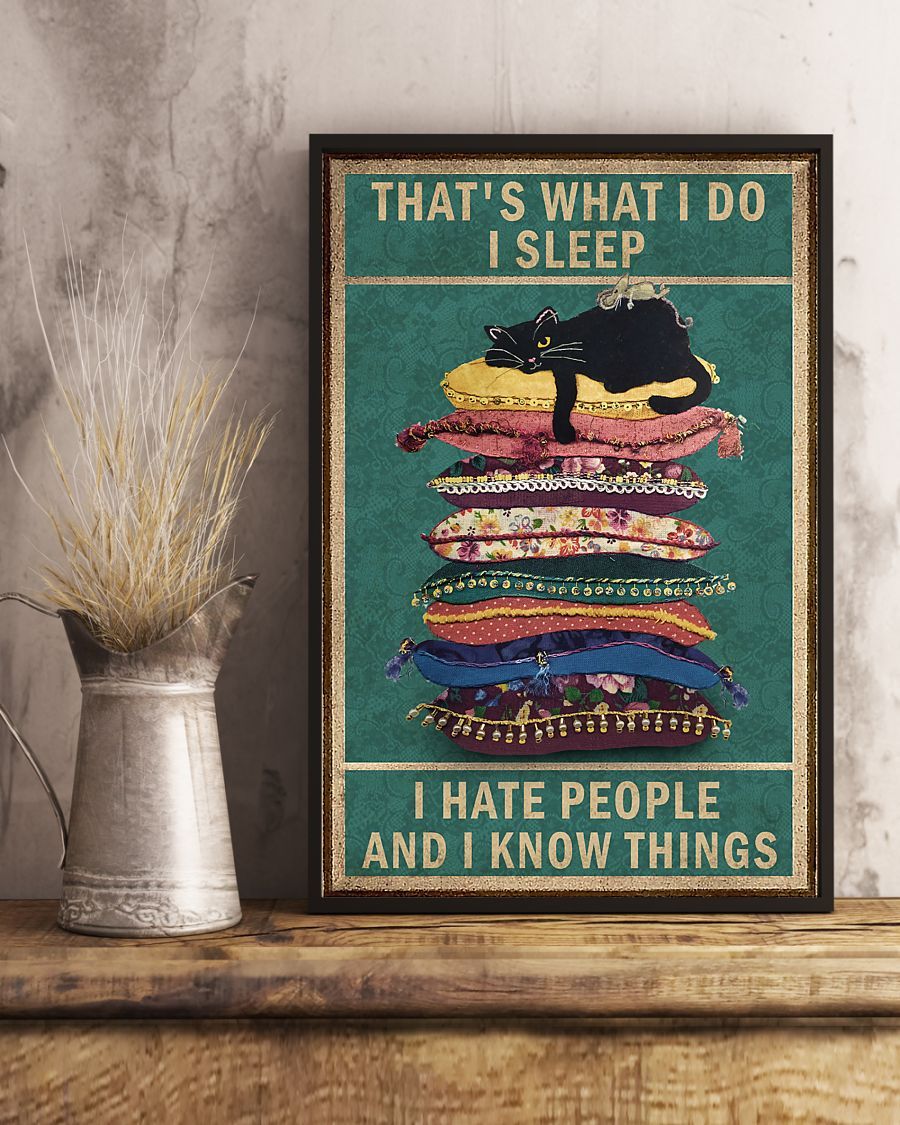 Canvas Prints Gift for Cat Lovers That's What I Do Birthday Gift Vintage Home Wall Decor Canvas - Mostsuit