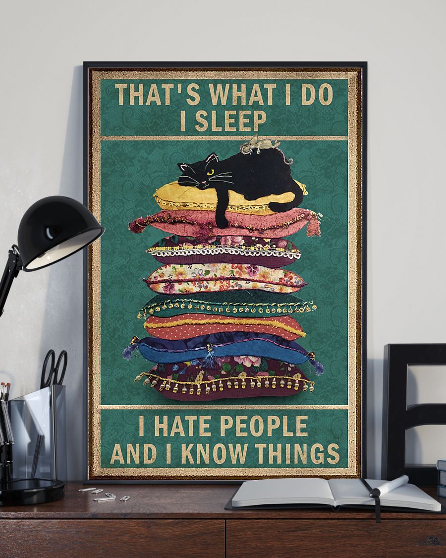 Canvas Prints Gift for Cat Lovers That's What I Do Birthday Gift Vintage Home Wall Decor Canvas - Mostsuit