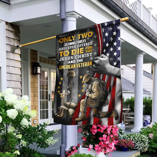 Jesus Christ And The American Veteran Flag