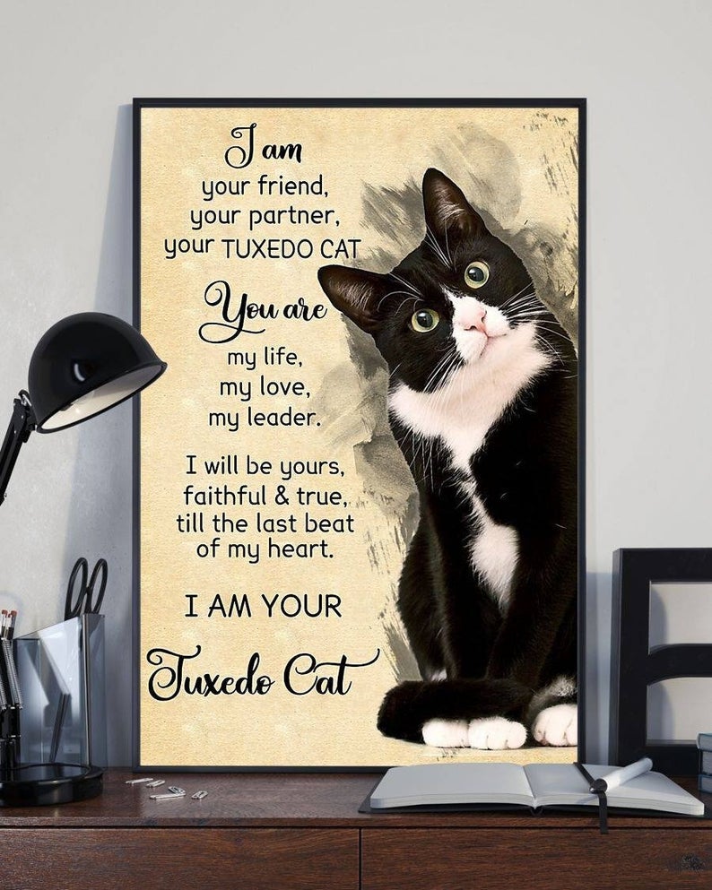 Cat Lover I Am Your Friend Your Partner Your Tuxedo Cat Poster, Retro Style, Funny Kitty, Wall Decor Poster No Frame