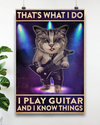 Cat Guitar Canvas Prints That's What I Do I Play Guitar And I Know Things Vintage Wall Art Gifts Vintage Home Wall Decor Canvas - Mostsuit