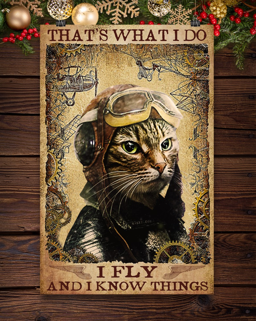 Pilot Cat Loves Poster That's What I Do I Fly And I Know Things Vintage Room Home Decor Wall Art Gifts Idea - Mostsuit