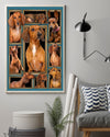 Dachshund Picture Canvas - Gifts for Dog Lover | Puppies Home Room Wall Art - MostSuit